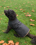 Dog Jacket