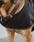 Dog Jacket