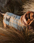 Dog Jacket